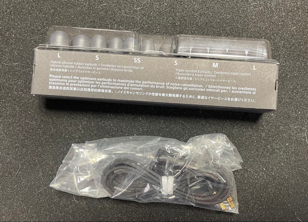 【付属品未使用完備】SONY ソニー WI-1000XM2 ワイヤレスイヤホン