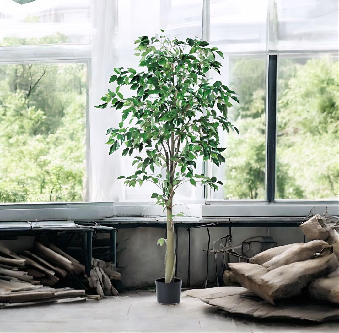 光触媒　人工観葉植物　ウォールグリーン　フェイクグリーン　フィカスツリー175