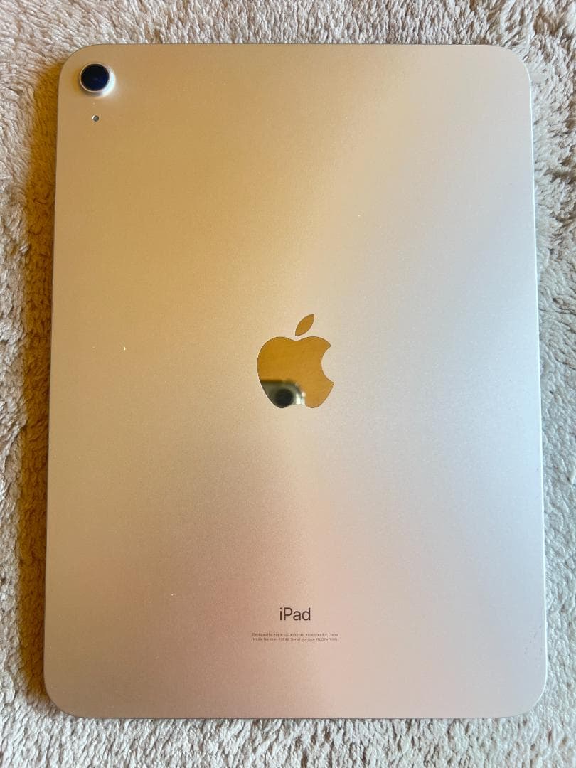 iPad 第10世代10.9インチ Wi-Fi ６４GB バッテリー100％