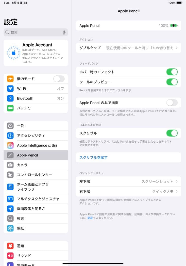 iPad Pro11インチ+ Apple Pencil