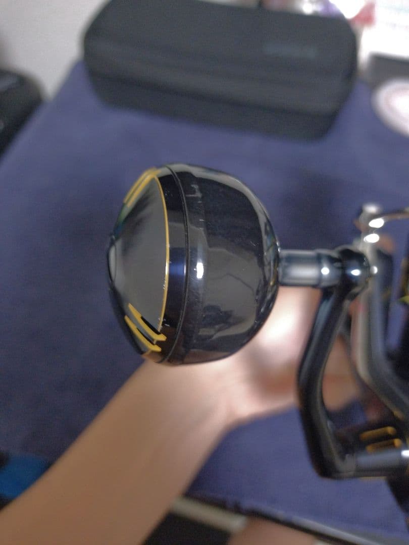 19ステラSW 8000HG 【現行品】