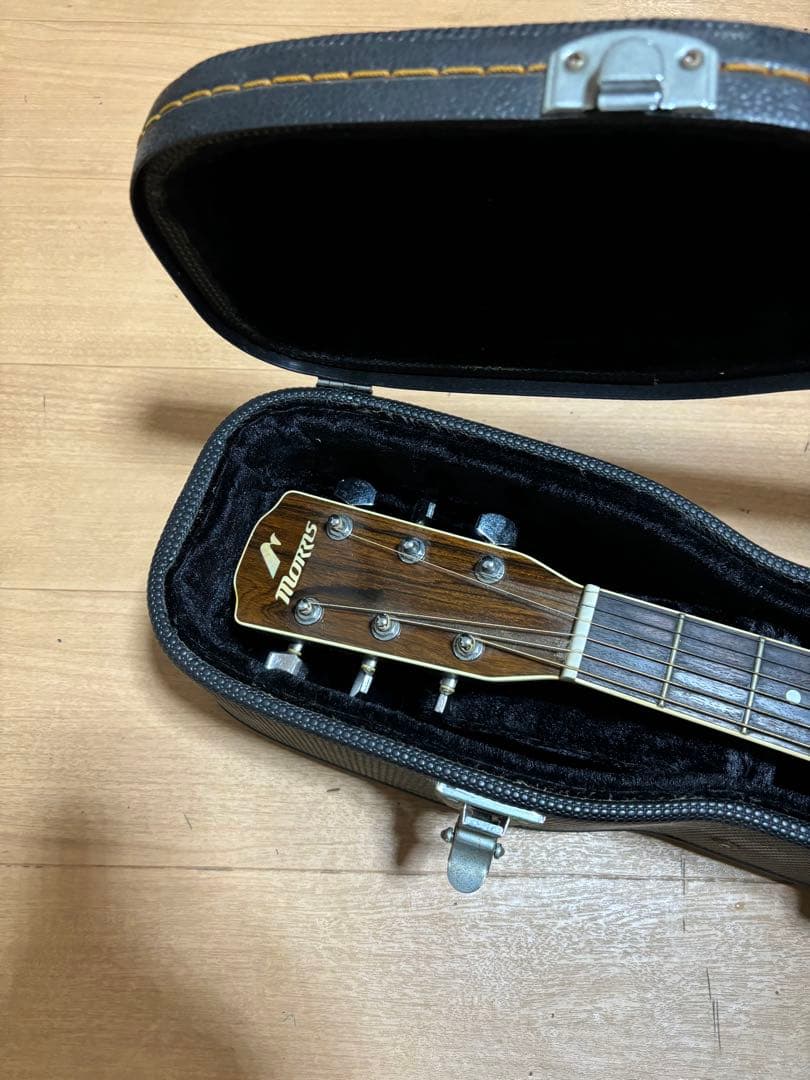 Morris アコースティックギター ケース付