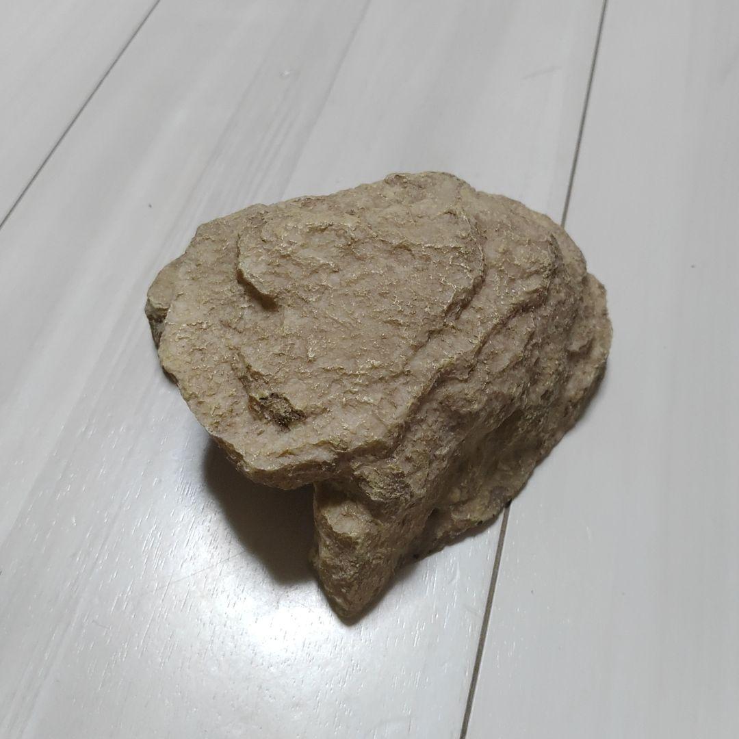 爬虫類・両生類用レイアウト用品セット