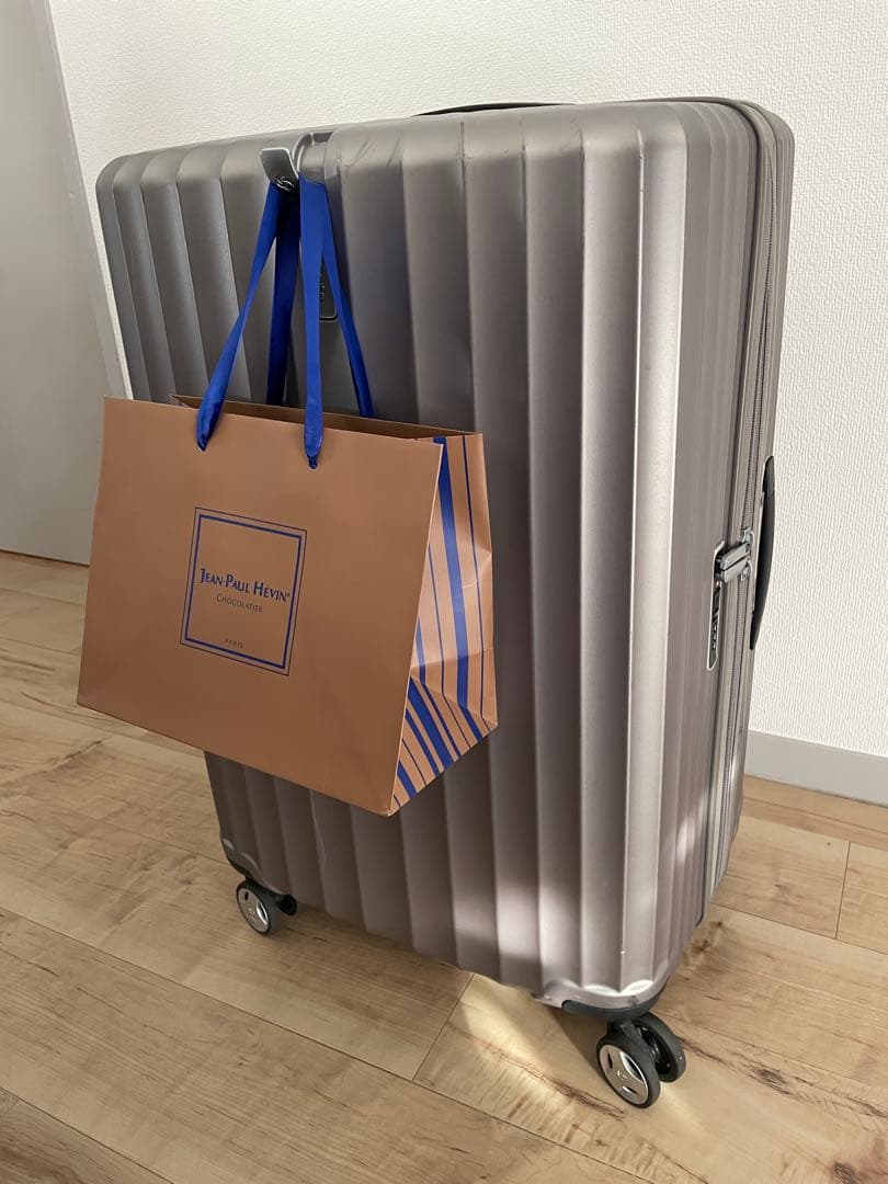 Somsonite サムソナイト　エナウ　110L/125L ラテ