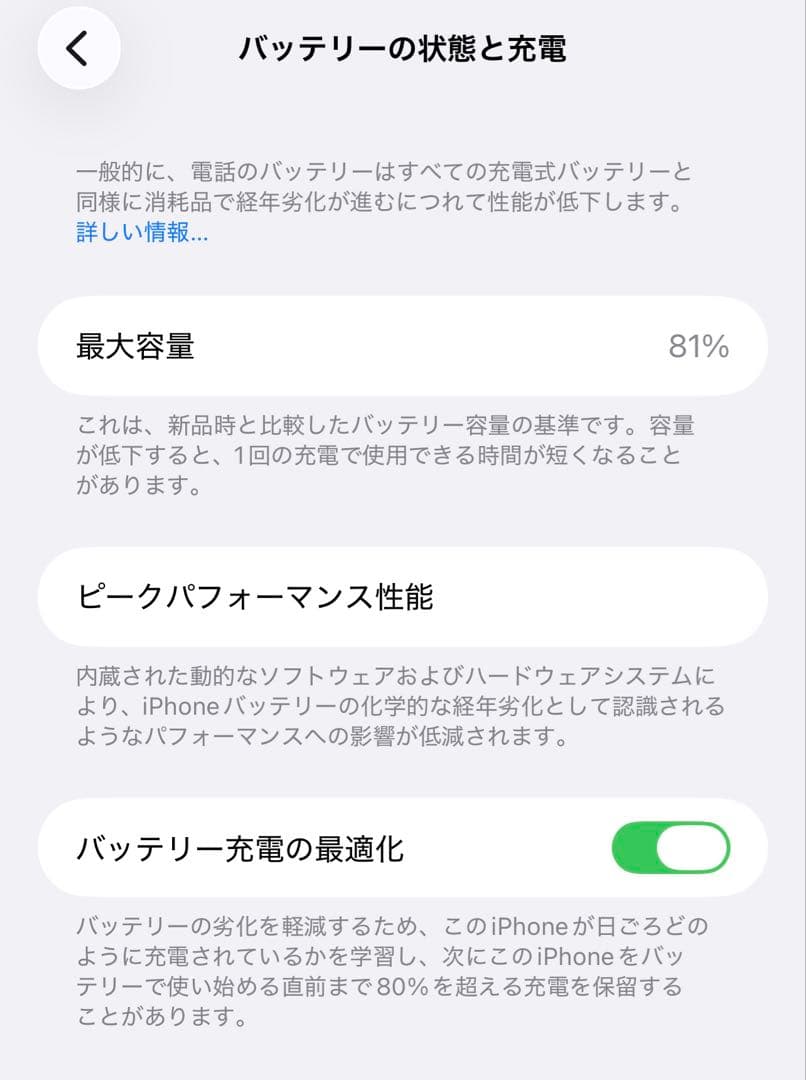iPhone 12 Pro Max 256GB SIMフリー 海外版 無音カメラ