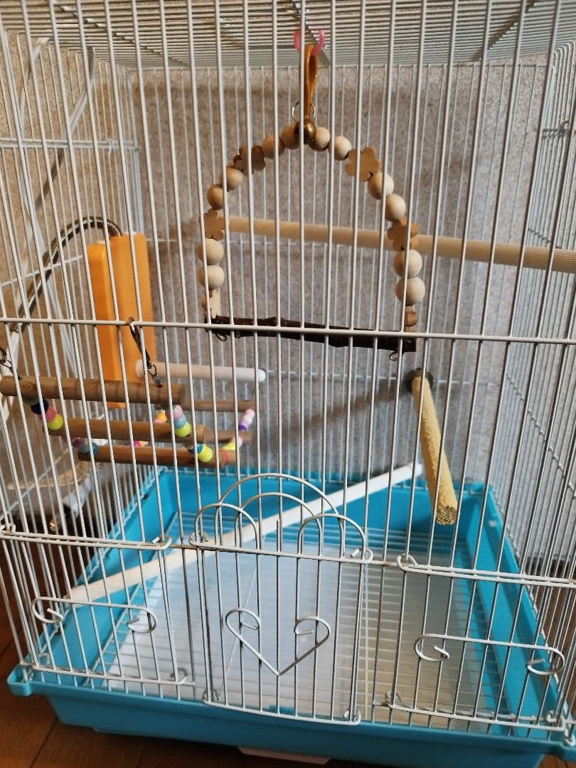鳥かご ケージ・キャリー セット
