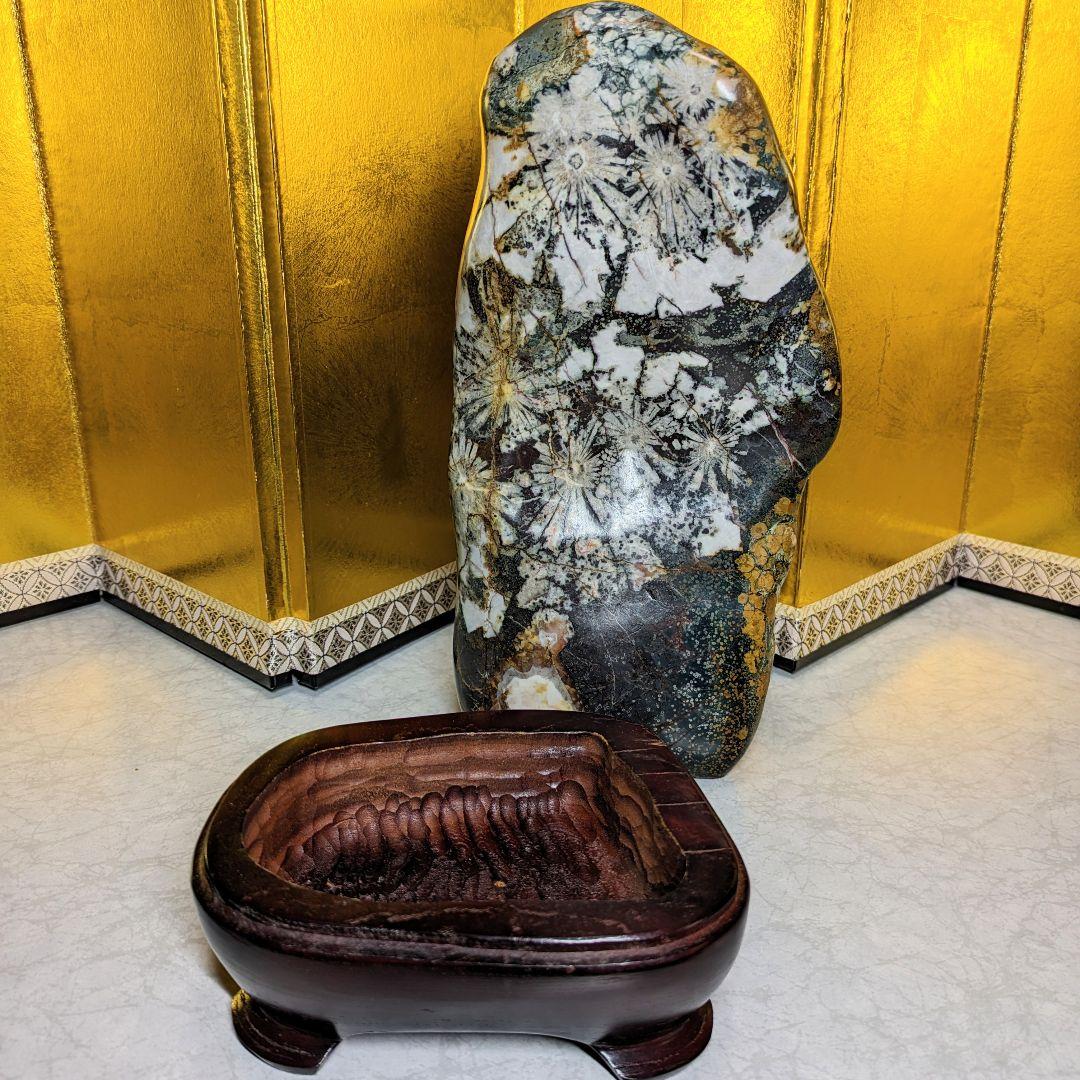 菊花石 岐阜県根尾谷産4.0㌔ 鑑賞石 観賞石 水石 盆石 鉱物 天然石 置物