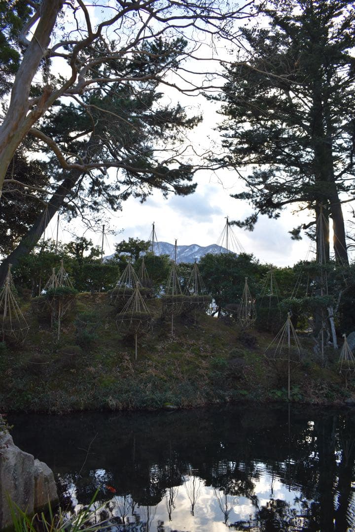 ✨新品級✨Nikon D3500✨高画質高性能モデル✨一眼レフデビュー✨作例あり