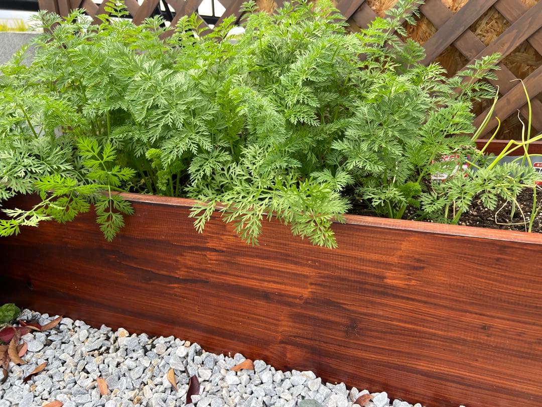 レイズドベッド　プランターカバーも可能