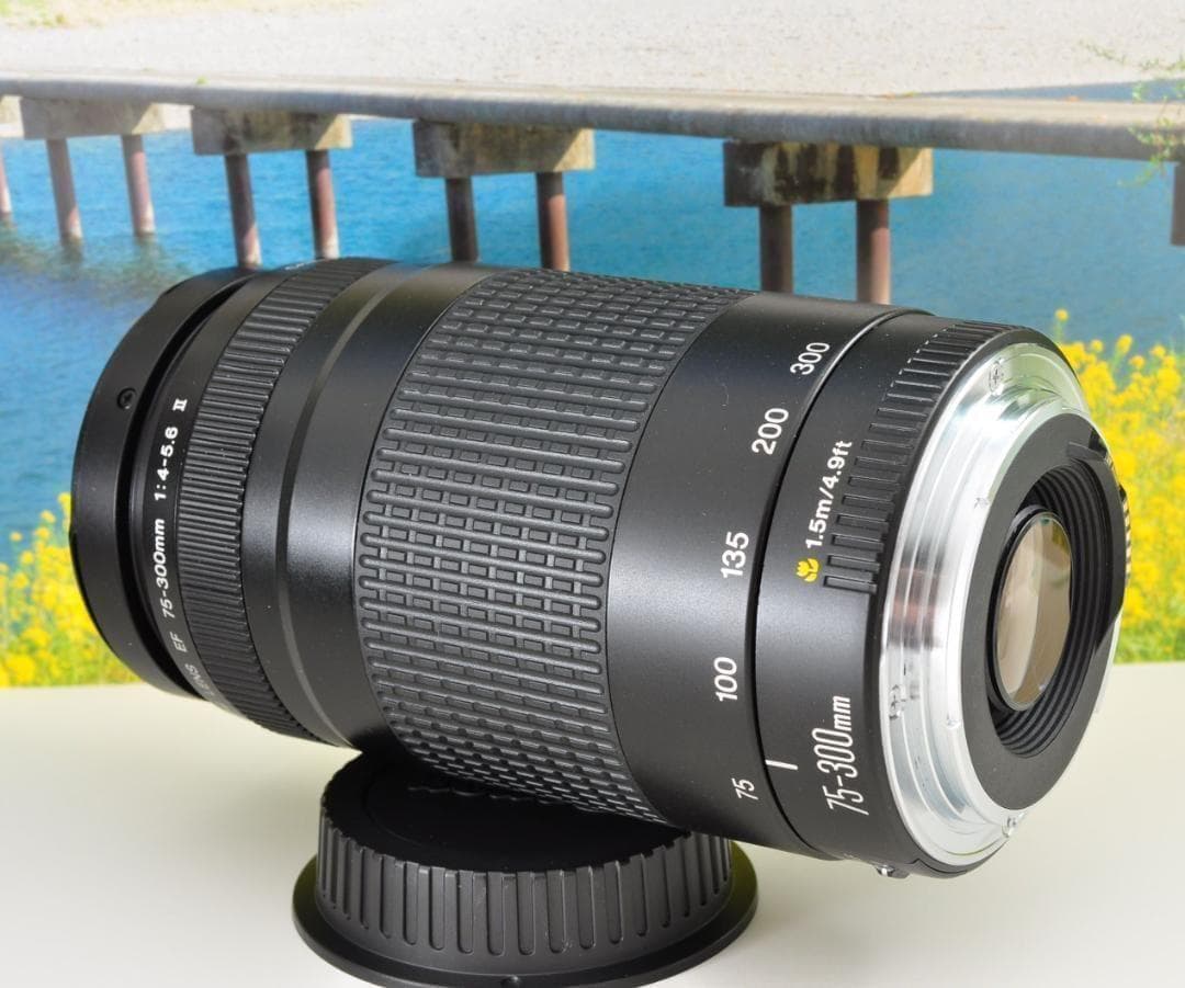 望遠はここから！ Canon キヤノン 望遠レンズ EF75-300mm