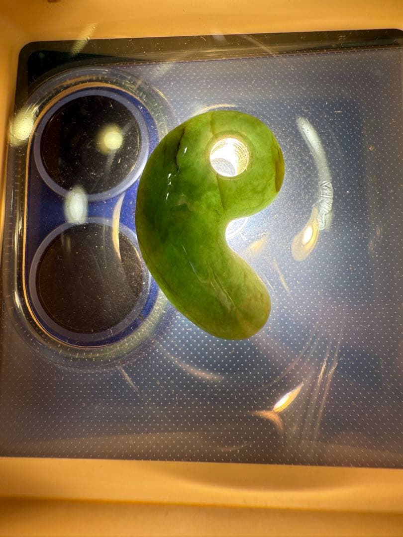 糸魚川産‼️勾玉‼️ご覧の通り説明不要の上クラス‼️青海の濃緑色ヒスイ‼️ロウカン‼️