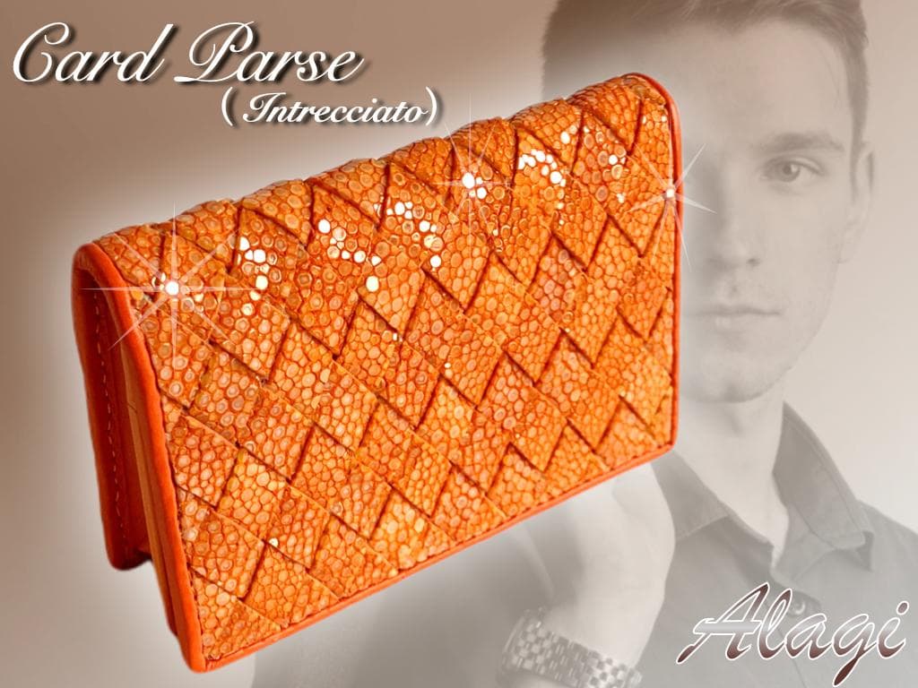 ☆qlaq☆ガルーシャ　名刺入れ　イントレチャート加工　2点セット