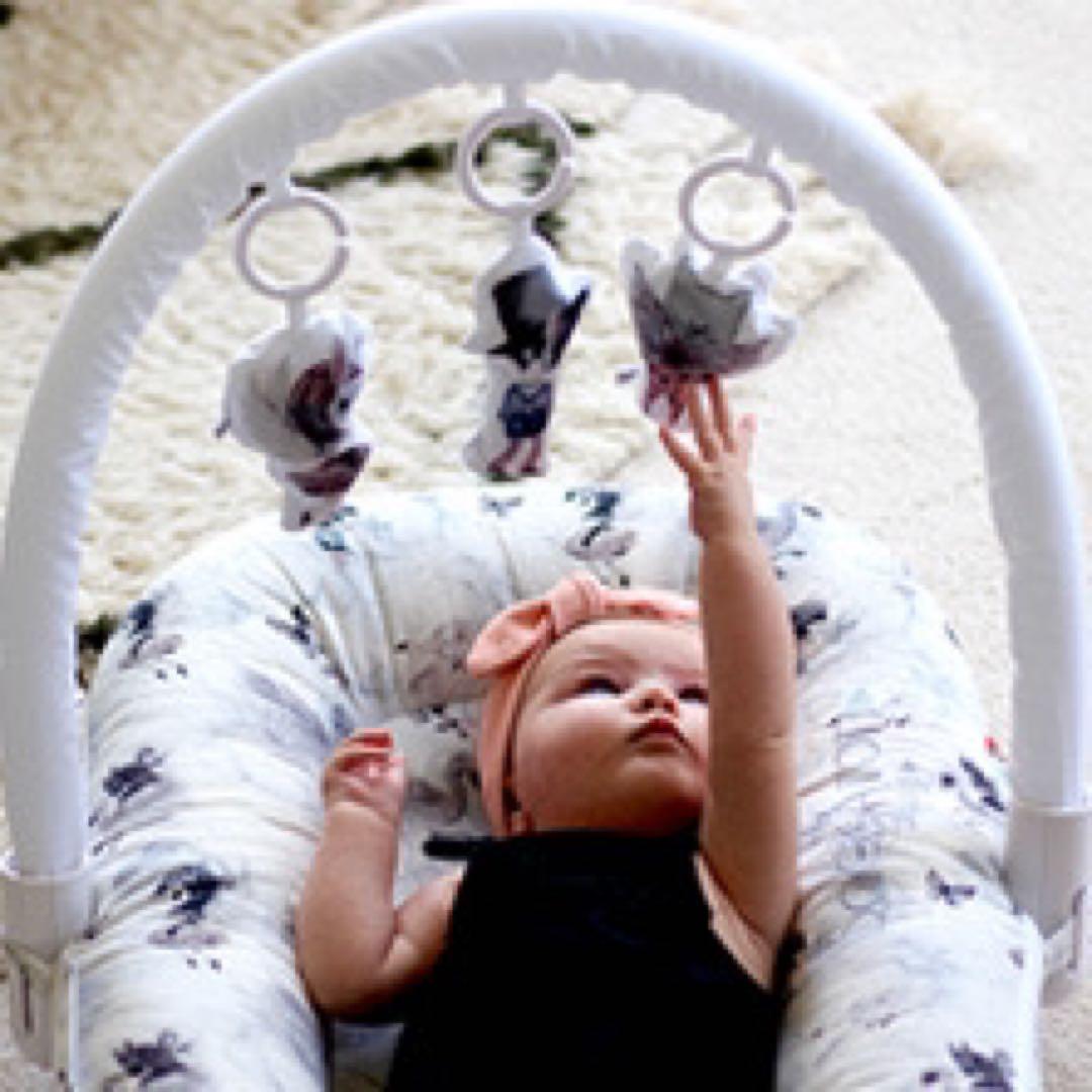 ドッカトット DockATot デラックス ベビーベッド 添い寝　トイアーチ