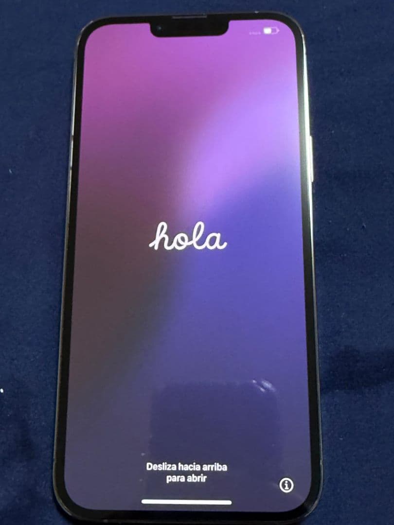 Apple iPhone 13 Pro Max本体