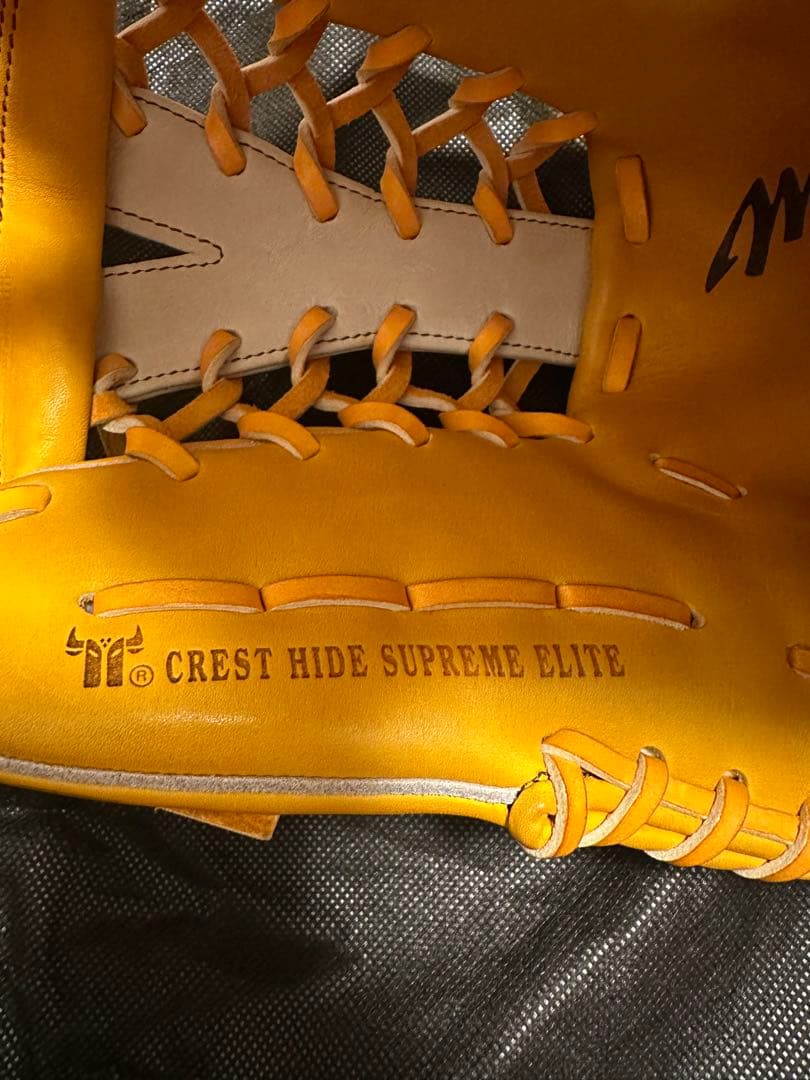 Mizuno Pro 硬式グローブ　外野手用　高橋由伸モデル　耕作印入り　巨人