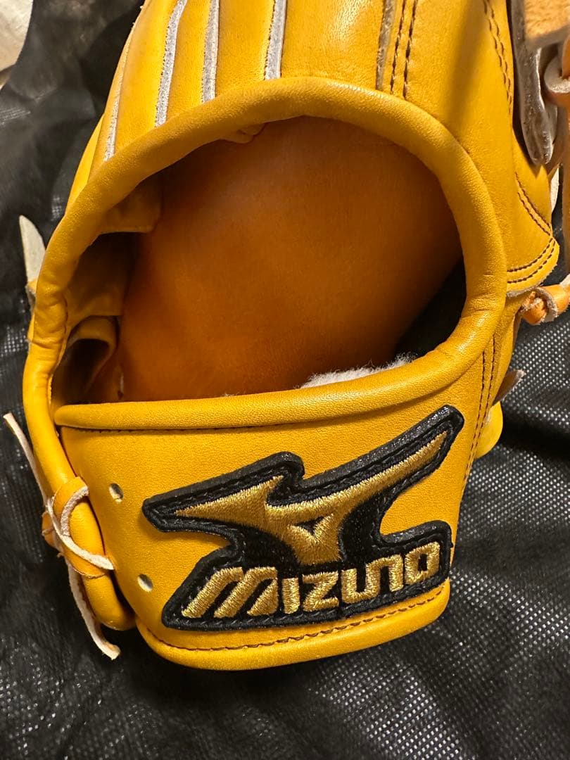 Mizuno Pro 硬式グローブ　外野手用　高橋由伸モデル　耕作印入り　巨人