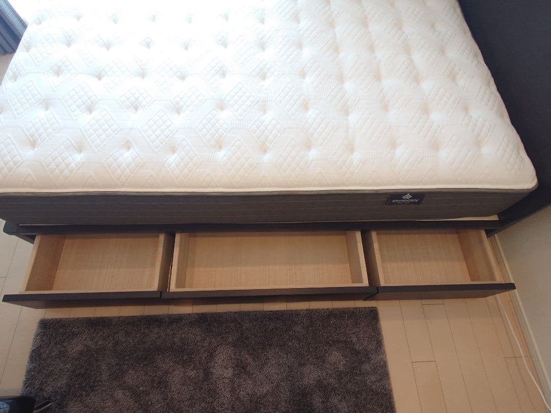 大塚家具 REGALIA (レガリア) Circlet (サークレット)送料込み