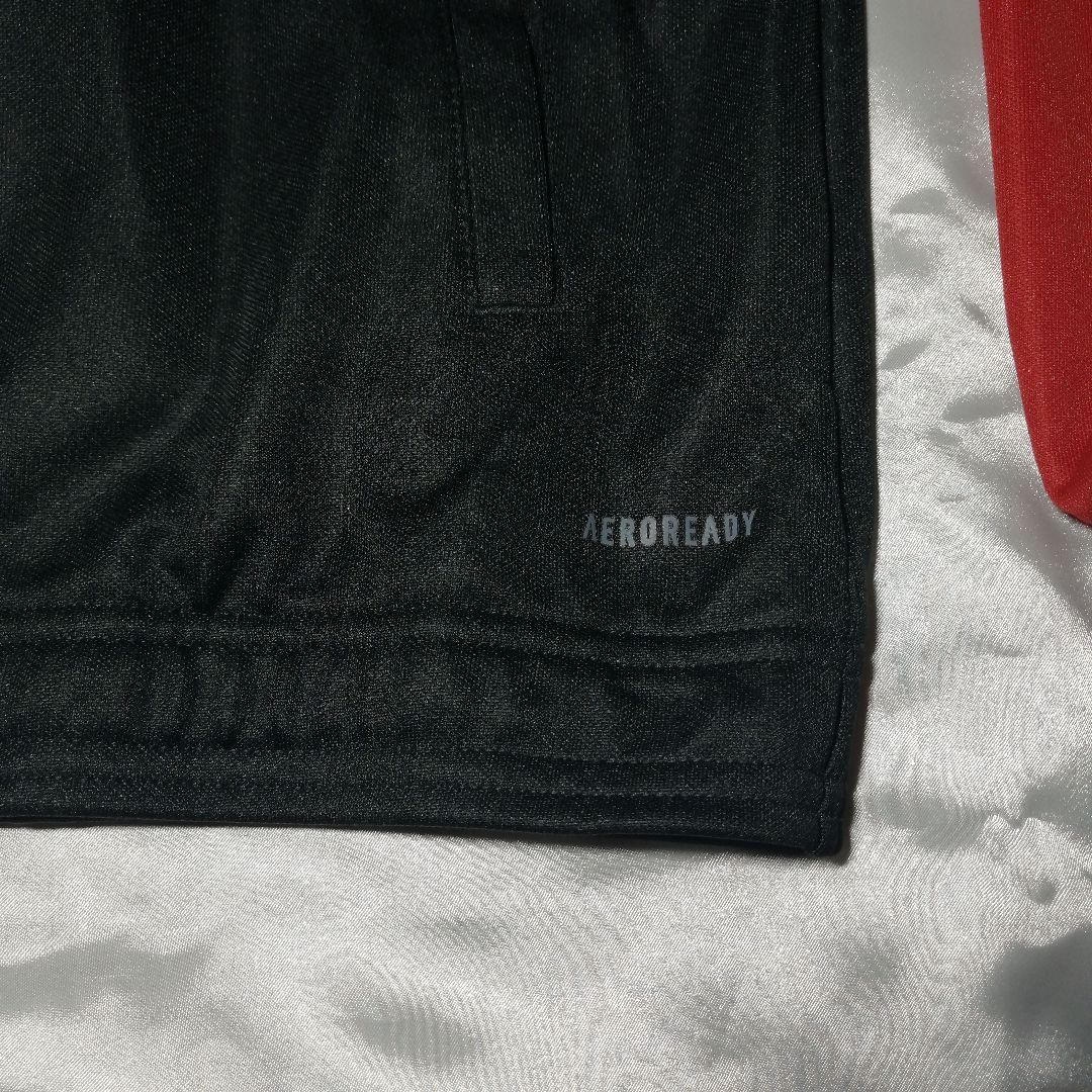 アルバルク東京 24-25 ウォームアップジャケット パンツ Lサイズ セット