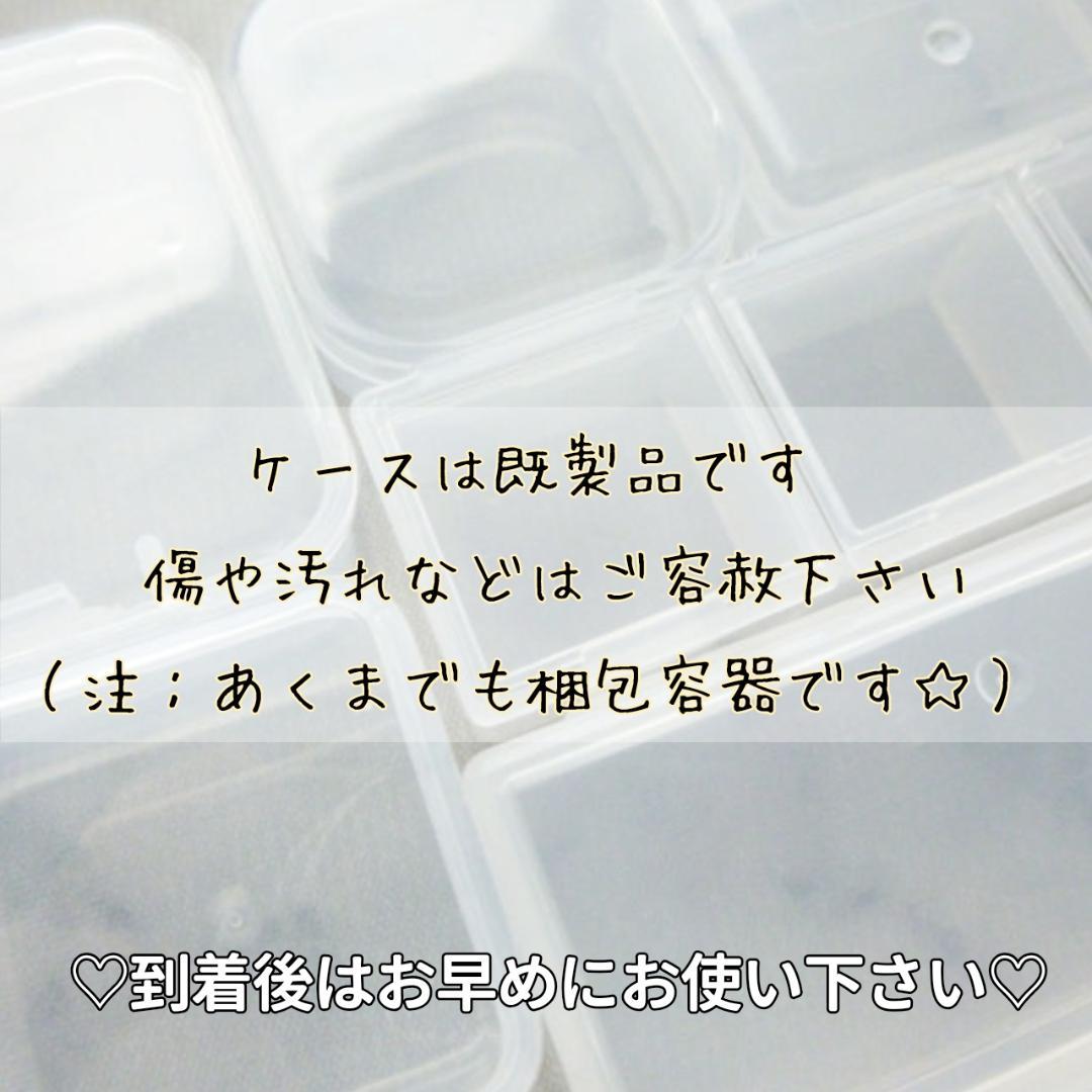 i-be様◆【ドライフラワー】小花つぼみ mix（0825）