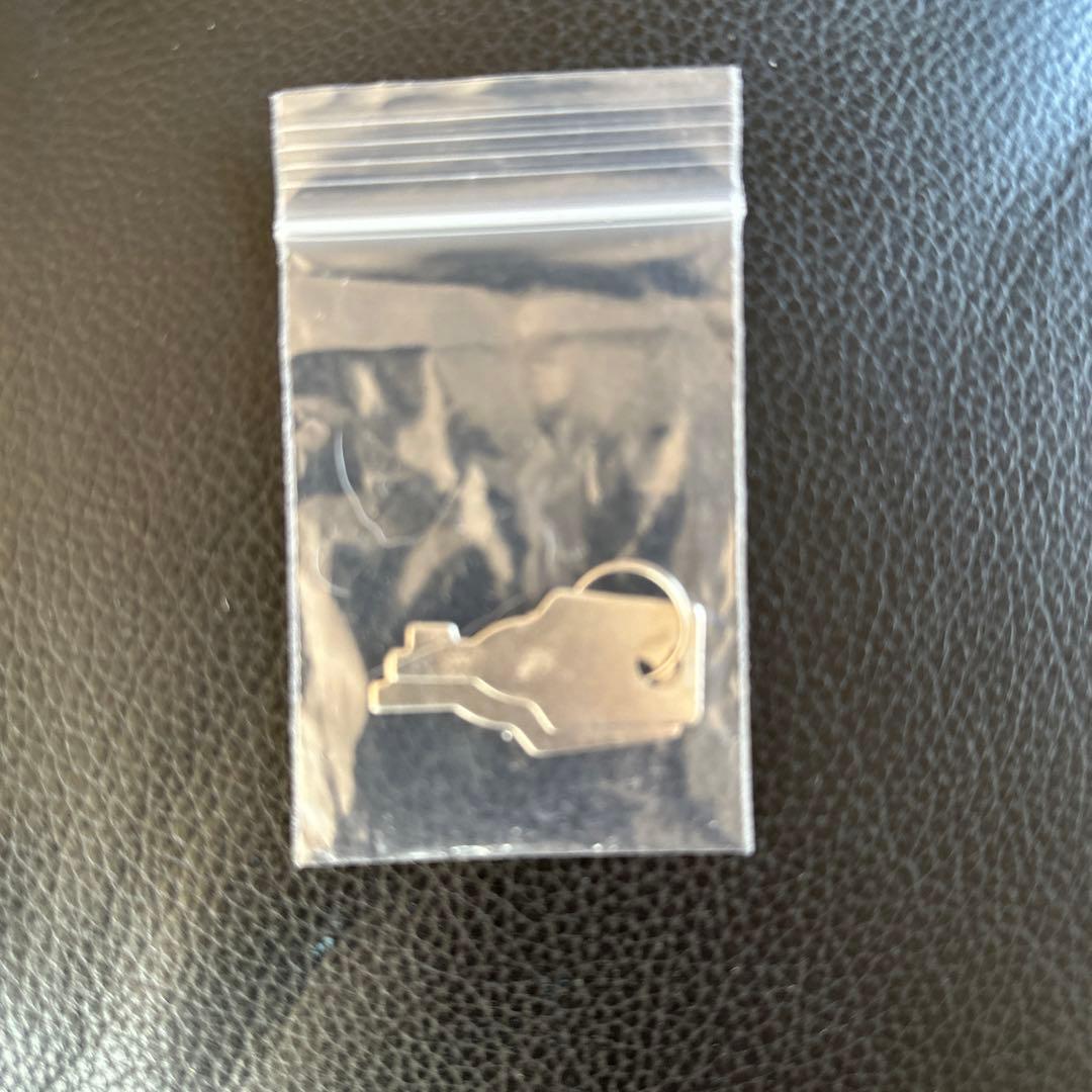 自分でエステ　CELLZERO BAG 新品未使用