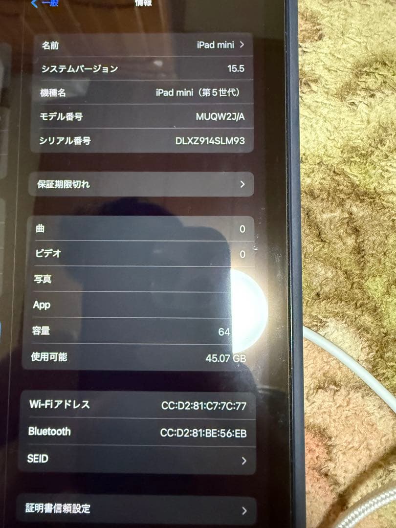 iPad mini (第5世代) 64GB Apple Pencil付き（箱無）