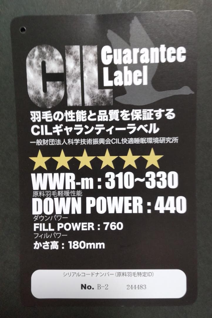 羽毛掛けふとん シングル　ホワイトマザーグース95％  Queen