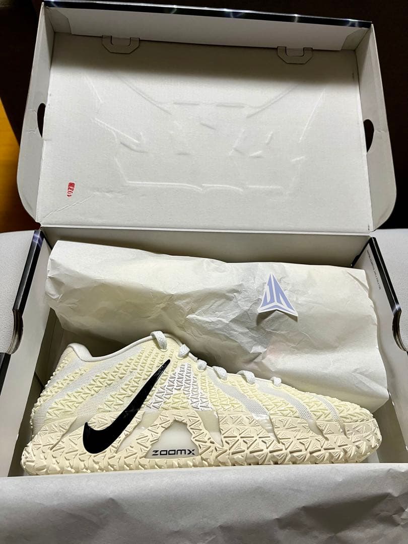 NIKE JA3 EP ナイキ ジャ3 30cm