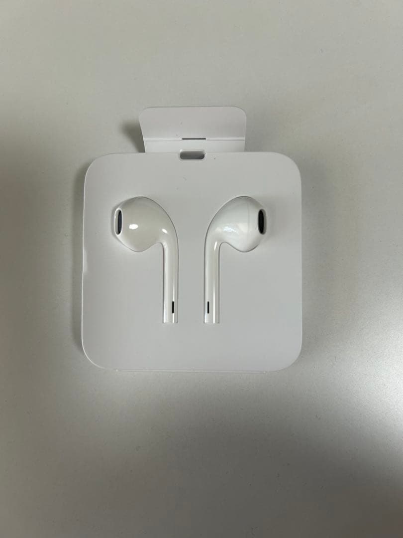 新品Apple iPhone 純正イヤホン Lightning10個セット