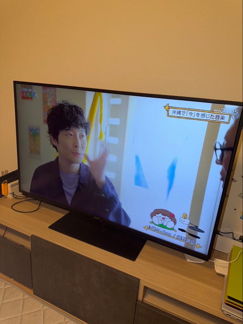 ◽️引き取り限定❗️◽️ SHARP 液晶テレビ 4T-C50DL1