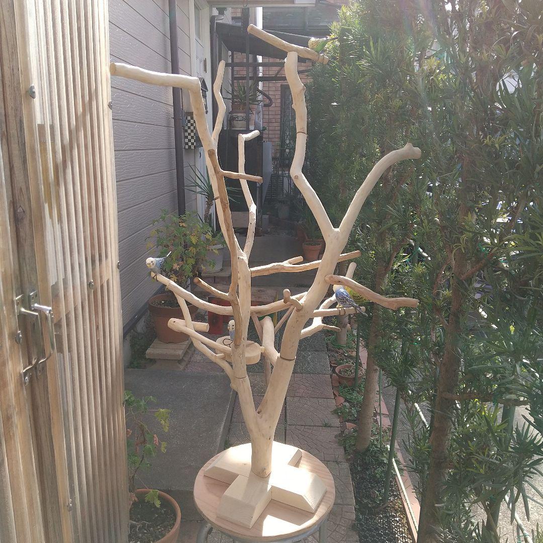 インコバードアスレチックジム楽園シリーズ⑤