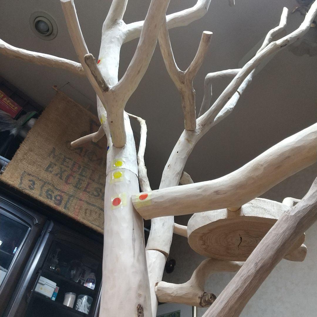 インコバードアスレチックジム楽園シリーズ⑤