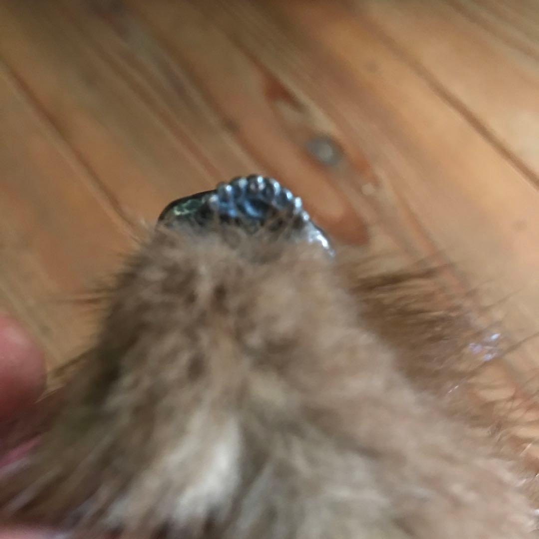 OZサスクワッチファブリックス　スカル&ファーキーホルダー