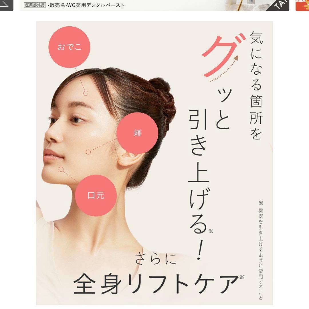 SALONIA EMS LIFT BRUSH 美顔器　電気ブラシ　サロニア