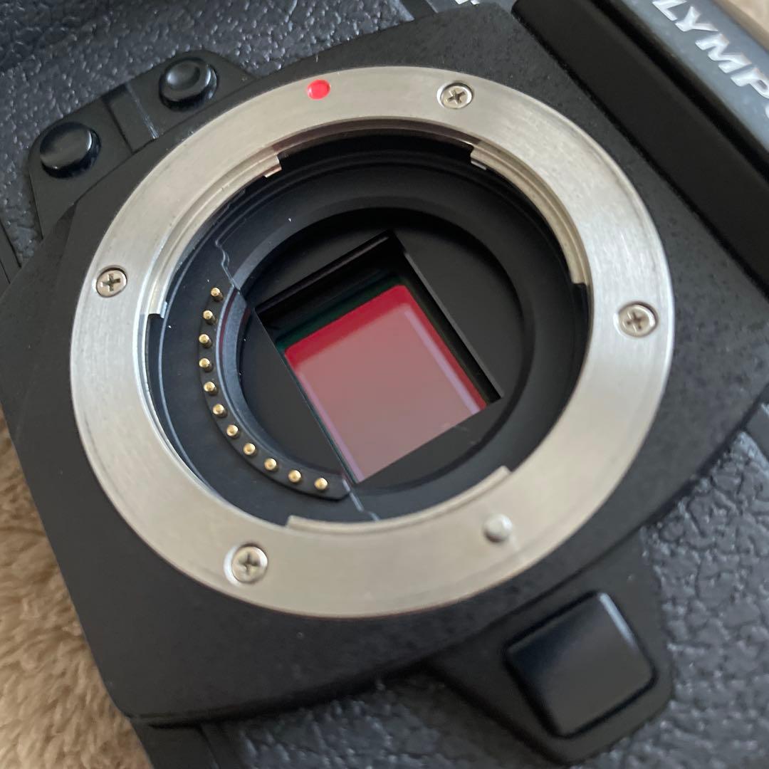 ぶ*ん様 OLYMPUS OM-D E-M1 ミラーレス一眼カメラ