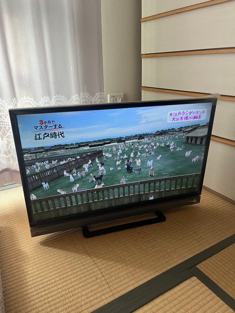 TOSHIBA REGZA 32V31 2018年製