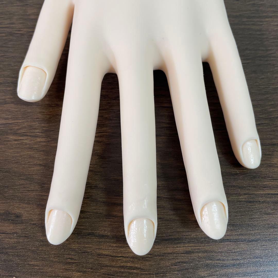 JNEC認定モデルハンド 両手＋消耗品