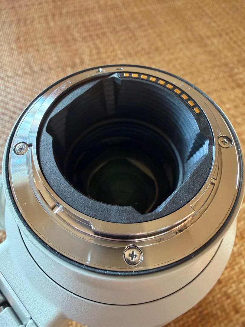 レンズ(ズーム) Miki