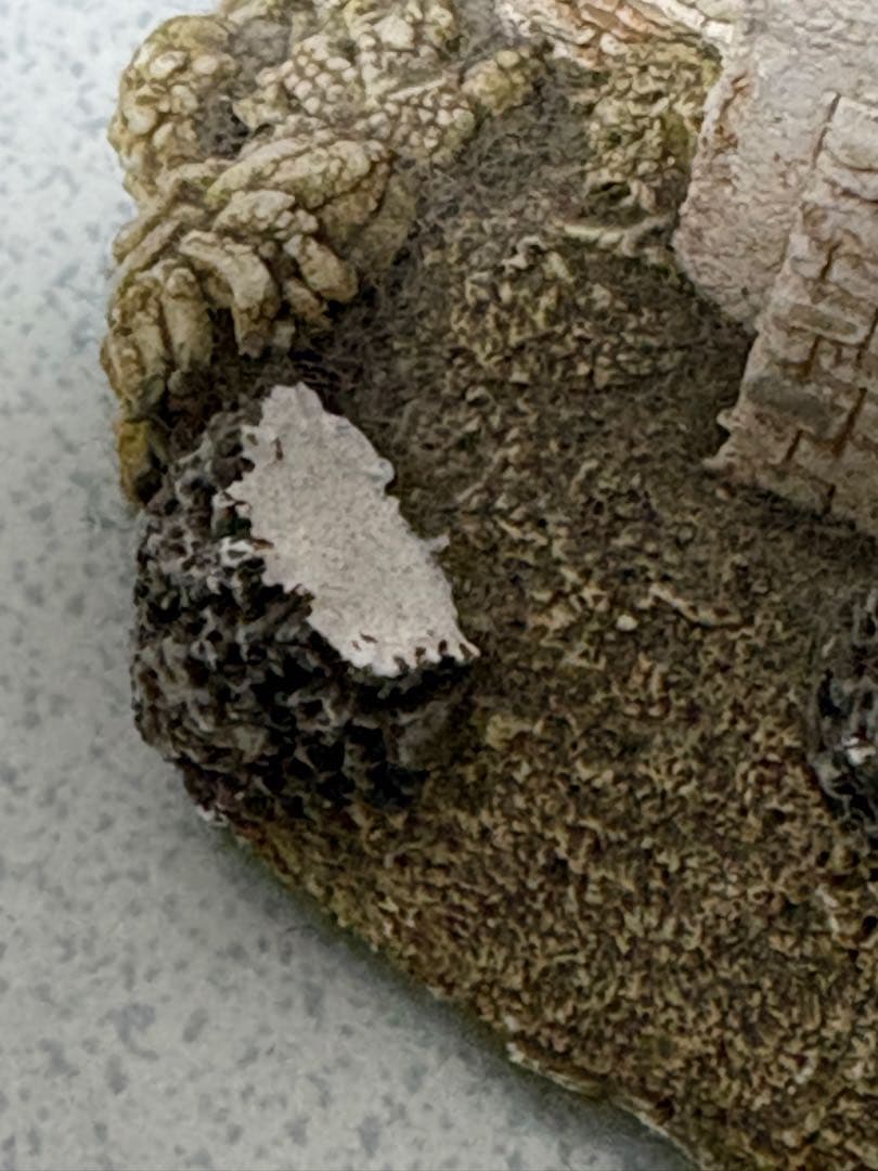 PENTHOUSE & PAVEMENT village bakery 置物