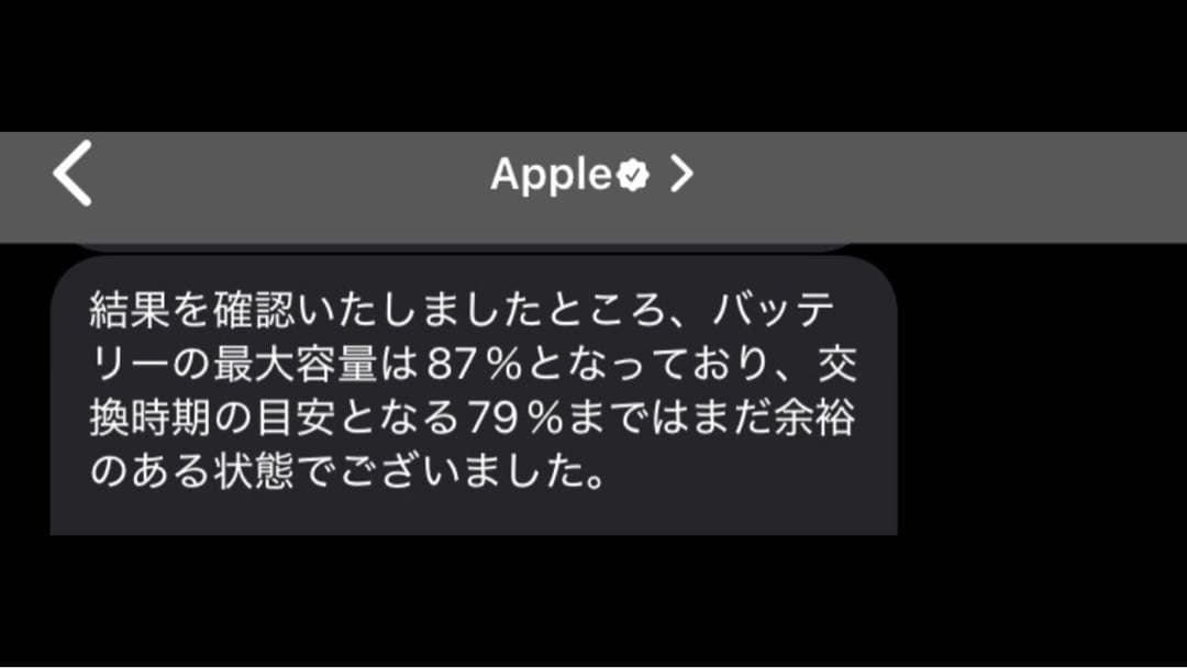 iPad本体 Apple iPad mini Wi-Fi+Cellular 256GB