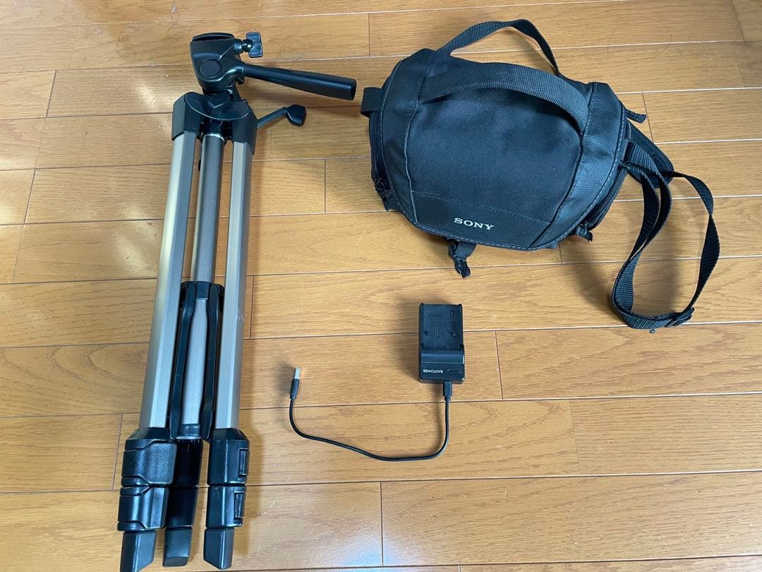 ソニーSONY ビデオカメラ FDR-AX100 4K (三脚セット付き)