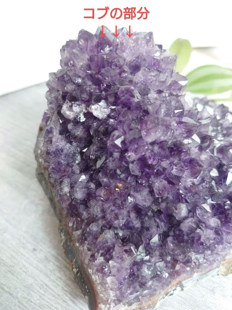 珍しい！コブ付きウルグアイ産アメジストクラスター