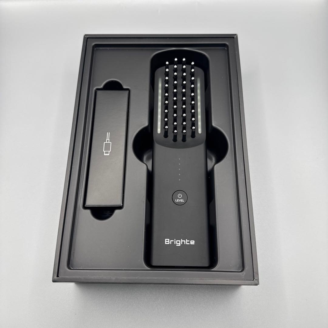 M1391 Brighte ブライト ELEKIBRUSH エレキブラシ