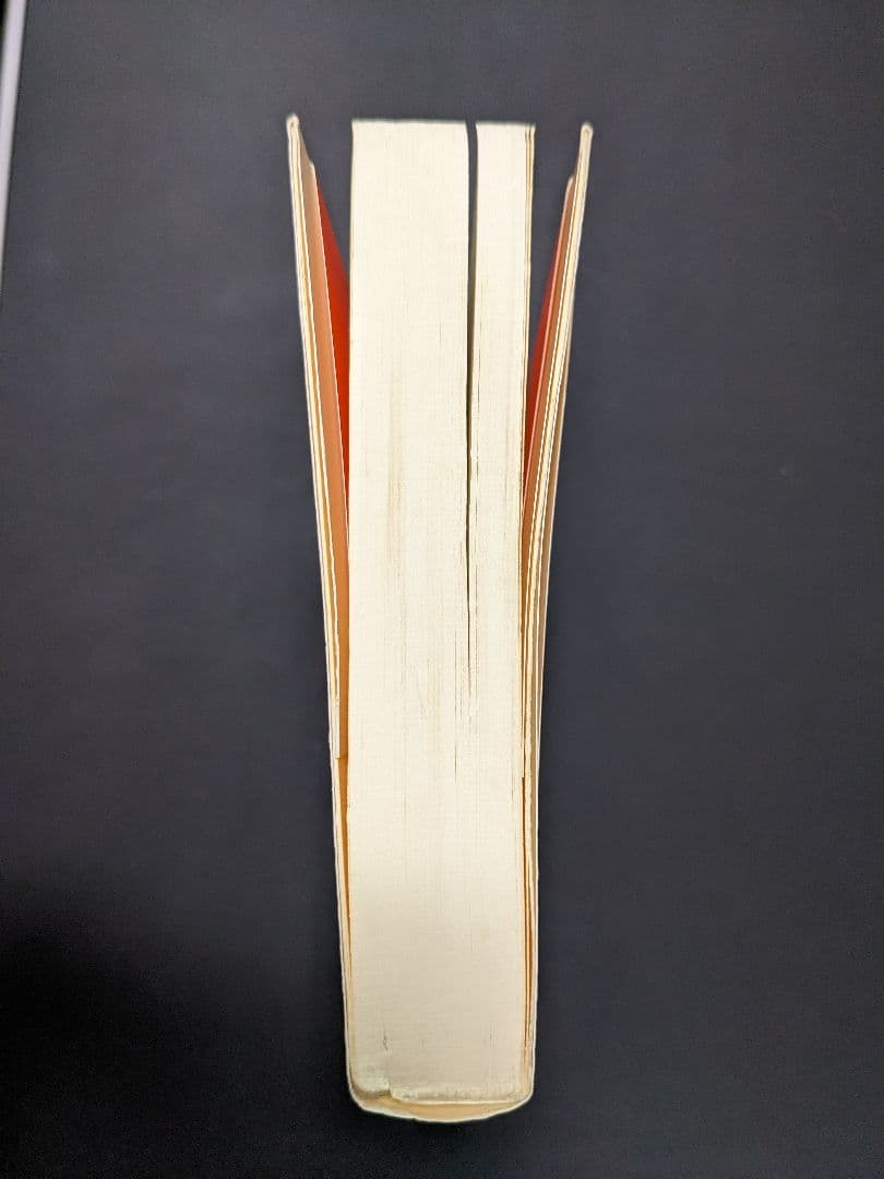 超スピリチュアルな夢実現/幸福獲得法 振り子の法則トランサーフィン