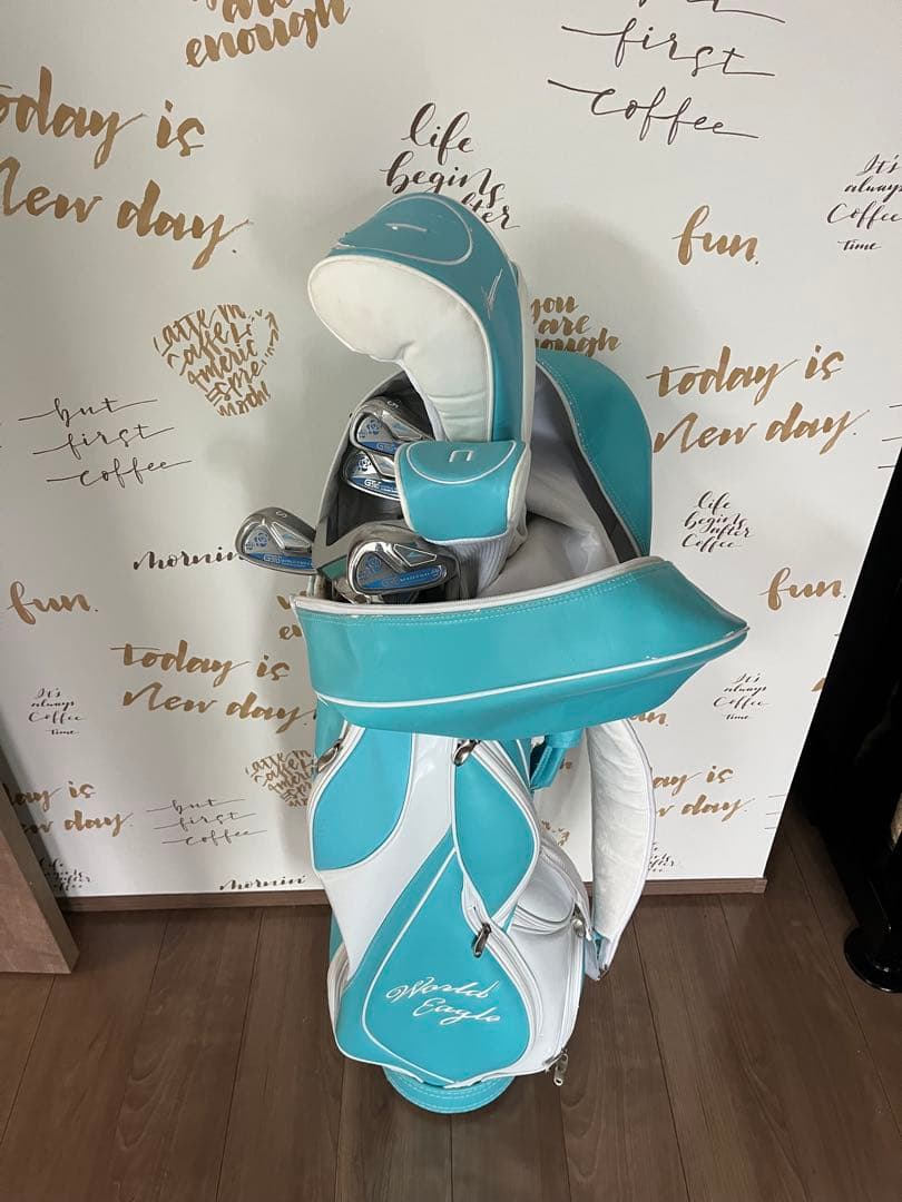 WORLD EAGLE レディース ゴルフクラブセット 12本