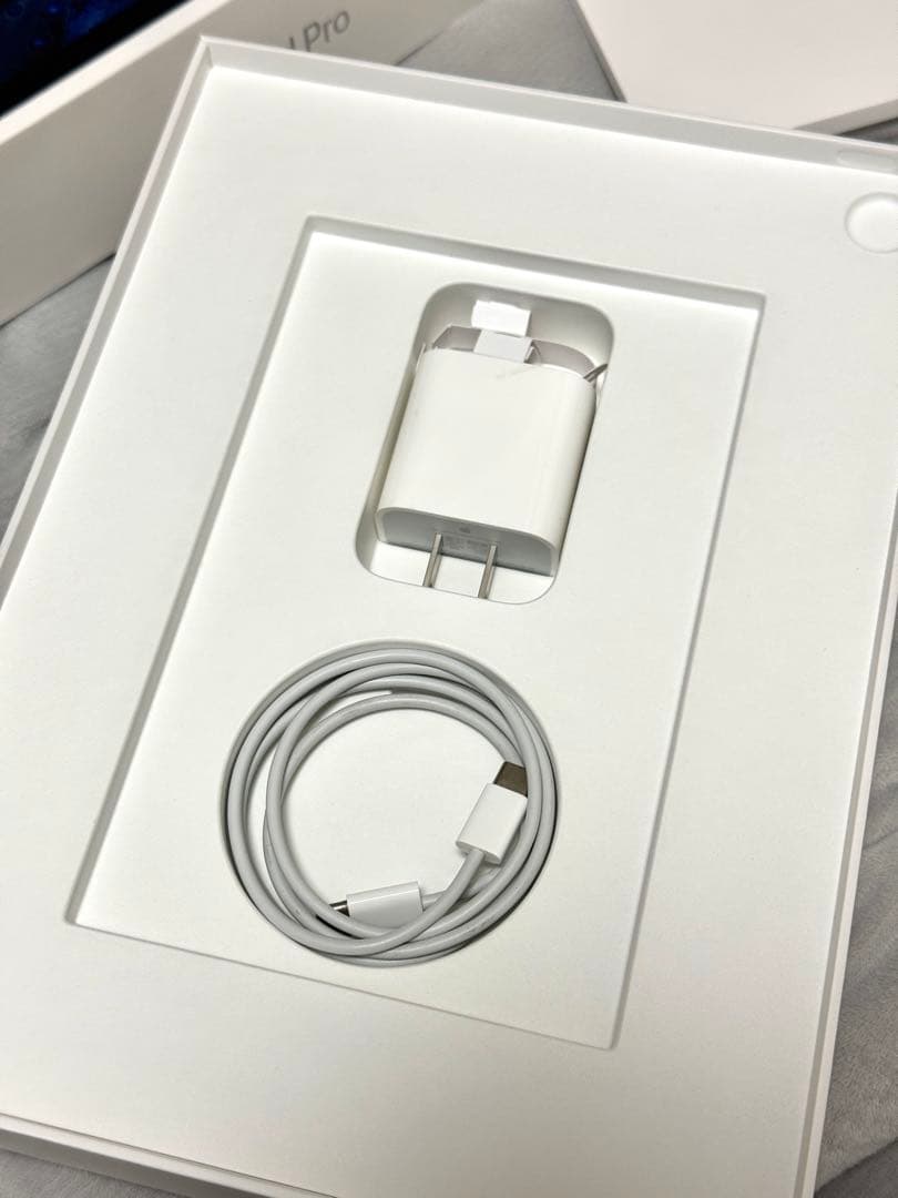 iPad Pro 11インチ本体＋カバー＋Apple Pencilセット