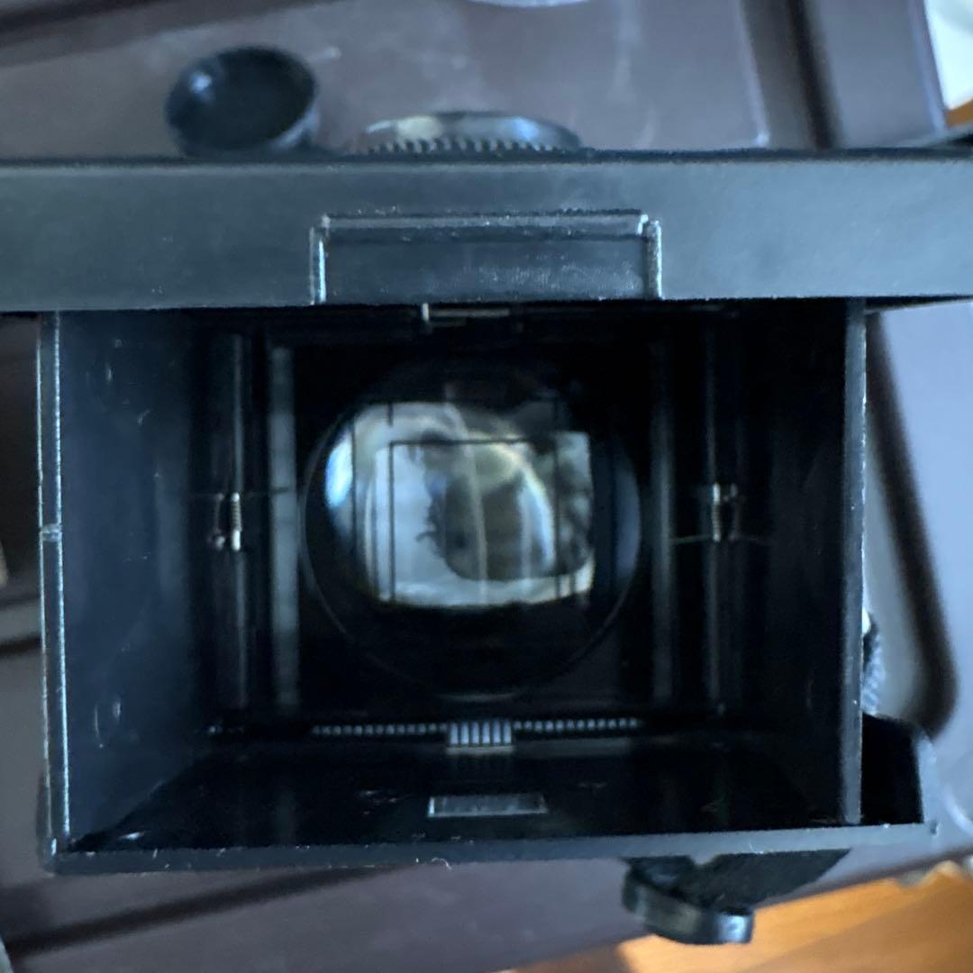 blackbird fly 二眼レフカメラ