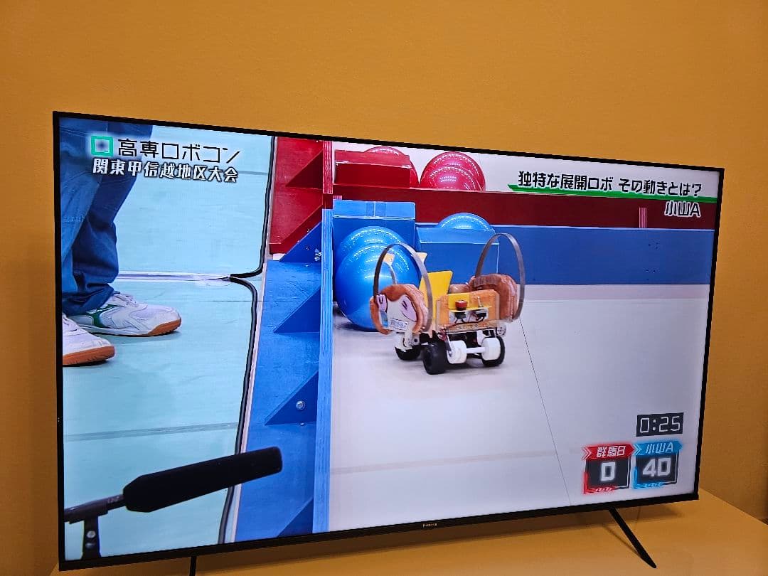 へ*と様 ハイセンス 65E7H 2024年製　細い縦線と横線あり　手渡しOK