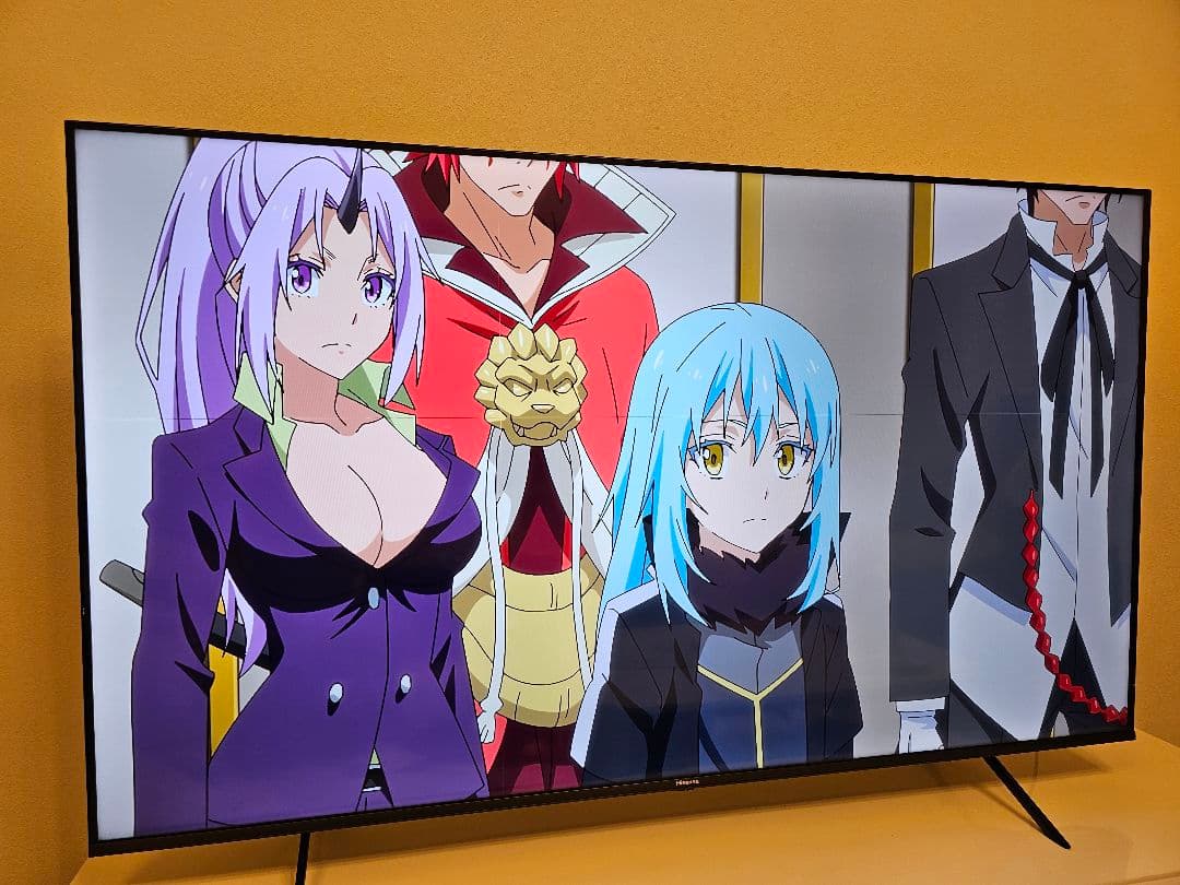 へ*と様 ハイセンス 65E7H 2024年製　細い縦線と横線あり　手渡しOK