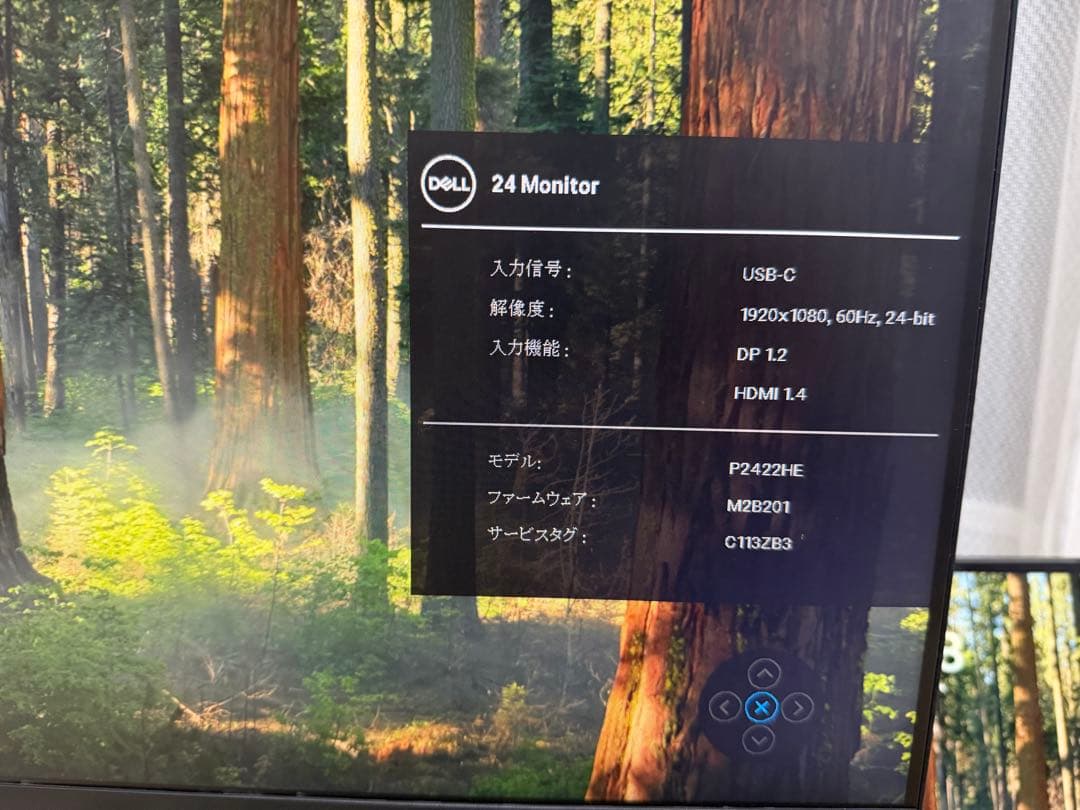 DELL 24 Monitor P2422HE 本体