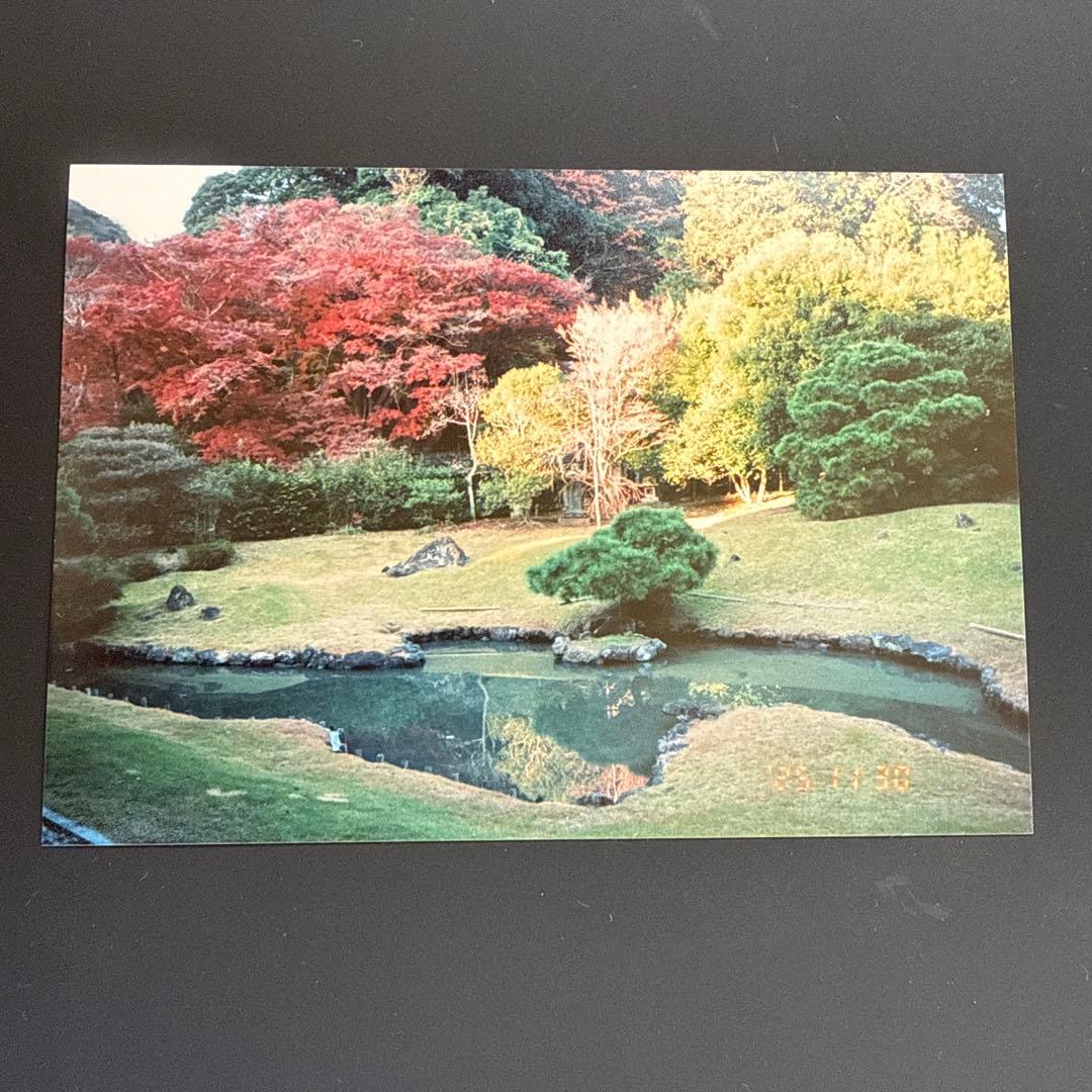 CONTAX T3 D フィルムカメラ （チタン）データバック